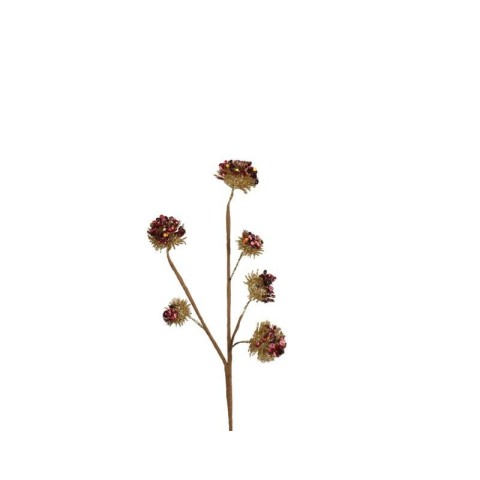 ALLIUM RAMO X 6 ROSSO ORO H.30